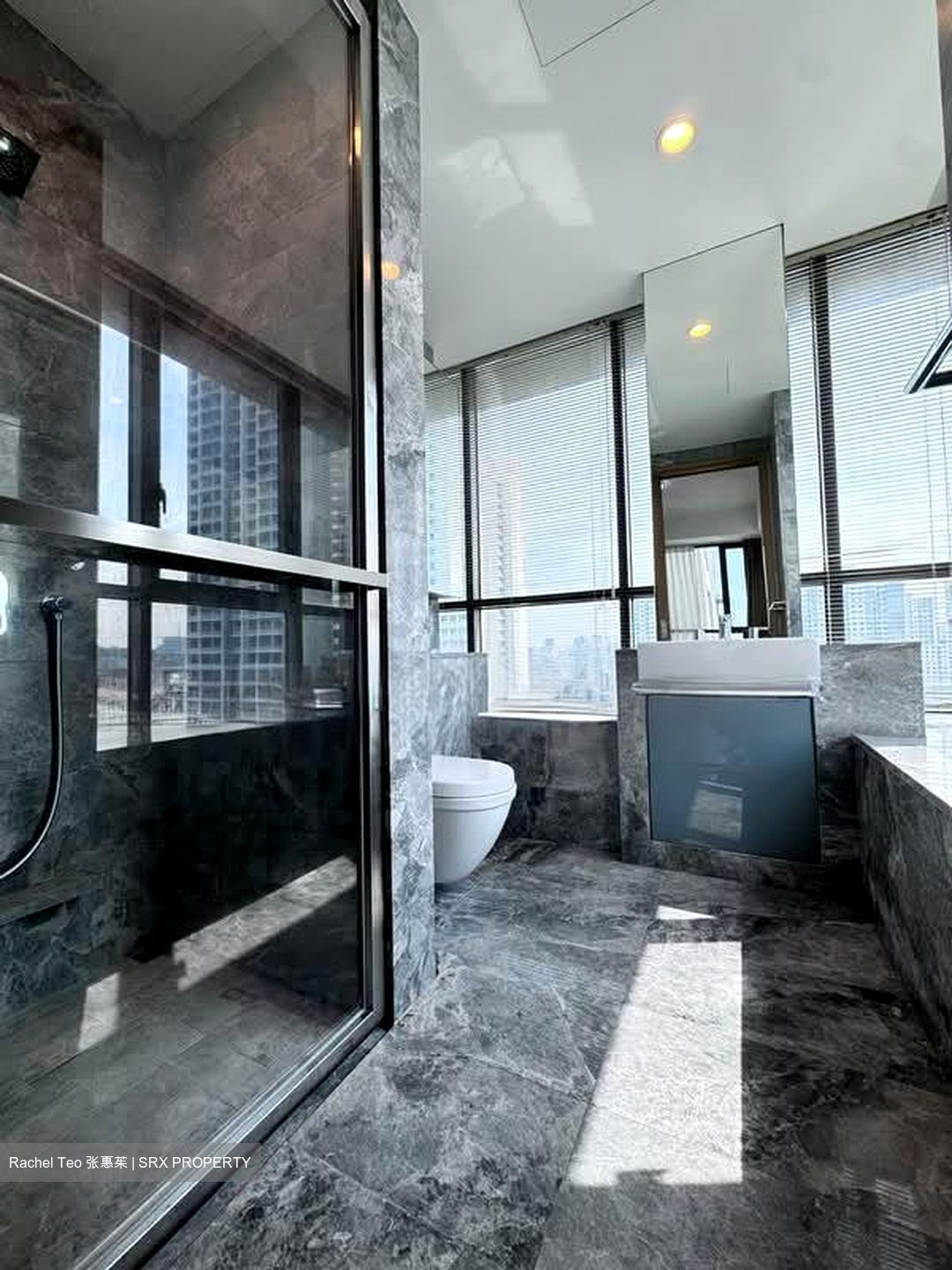 Skyline Residences (D4), Condominium #584455611